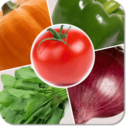 Kids Learn Vegetable Game أيقونة