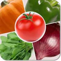 Kids Learn Vegetable Game