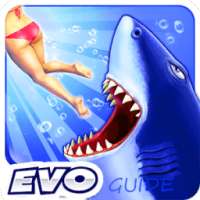 Guide for Hungry Shark