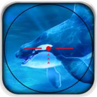Blue Whale Hunting 3D