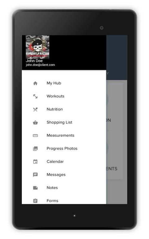 Guerrilla Nation screenshot 4