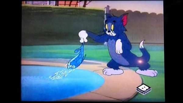 The Tom Cat and Jerry Video screenshot 7