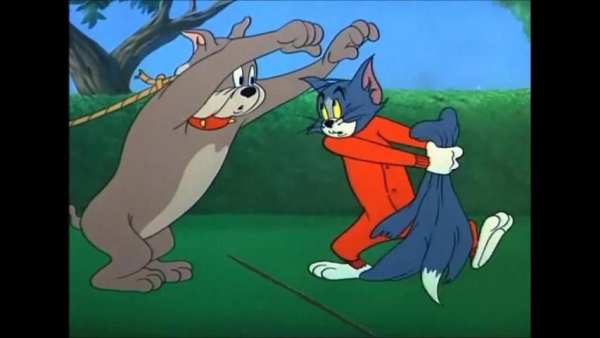 The Tom Cat and Jerry Video screenshot 2