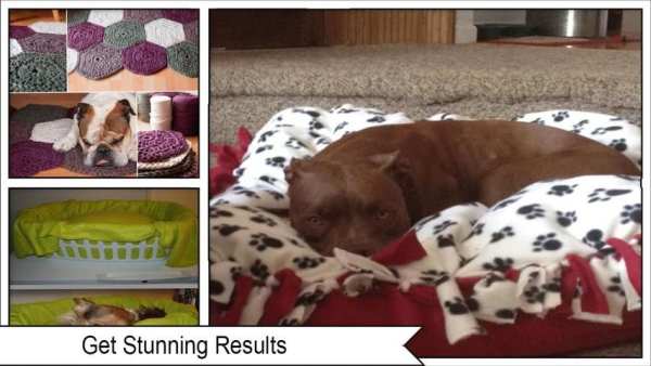 Best DIY Pet Blanket screenshot 2