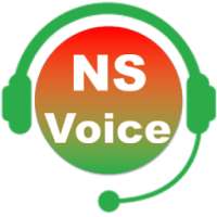 NS Voice