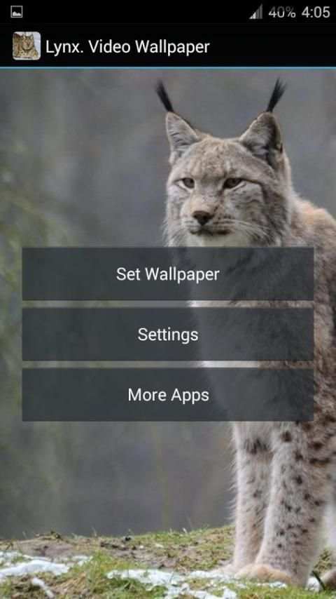 Lynx. Video Wallpaper screenshot 3