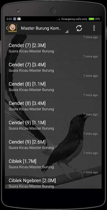 Birds Chirping Master screenshot 3