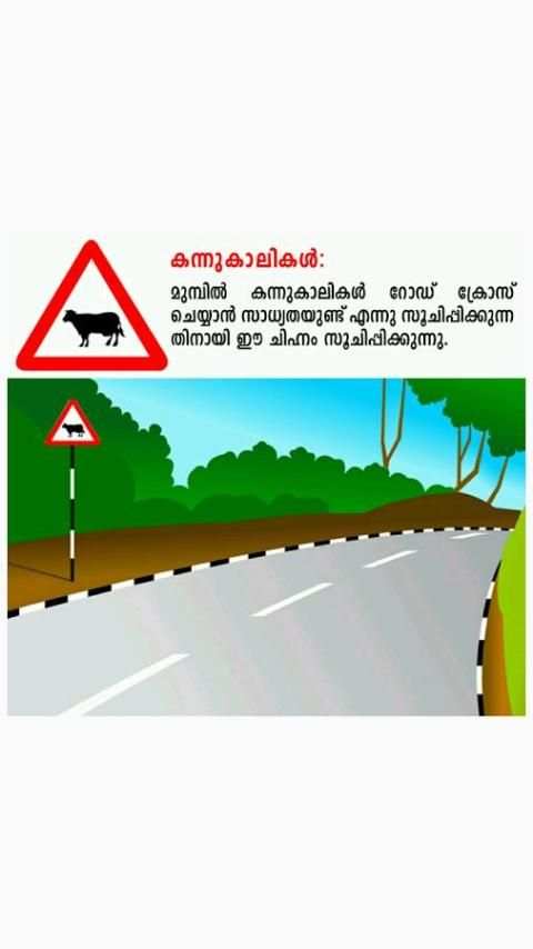 Learners Test Malayalam-Smart Drive स्क्रीनशॉट 8