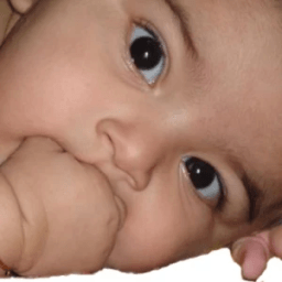 ikon Islamic Baby Name - Pro