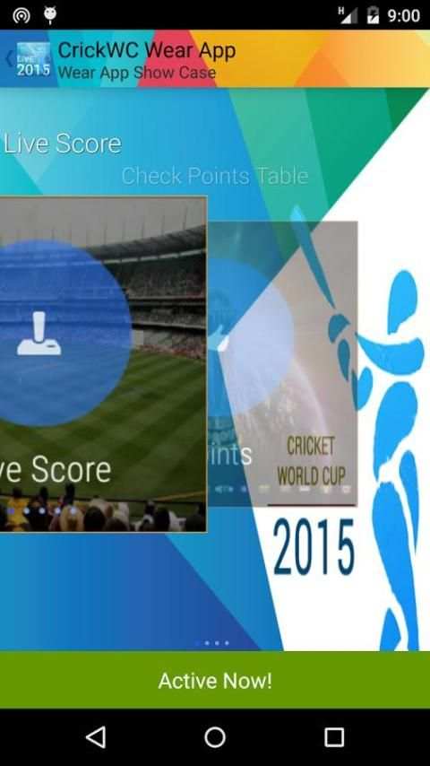 World Cup 2015 - CRICKET SCORE screenshot 4