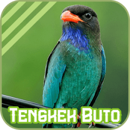 Oriental Dollarbird icon