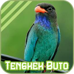 Tengkek Buto 1.1