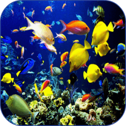 Sea Life Video Wallpapers иконка
