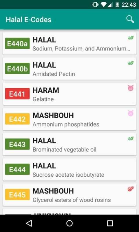 Halal E-Numbers स्क्रीनशॉट 10
