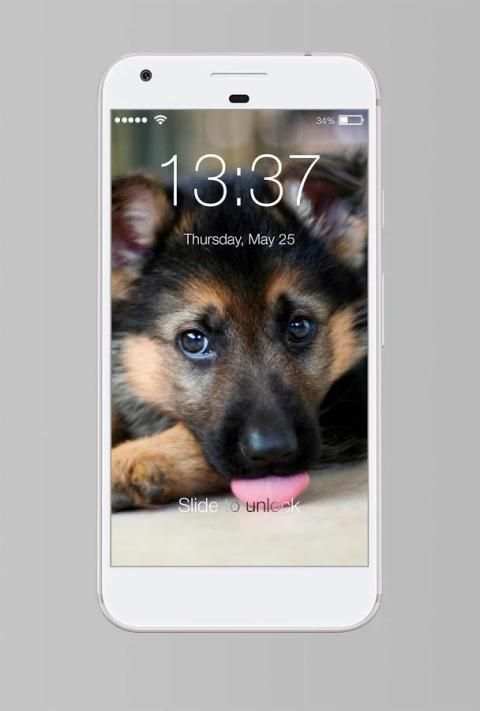German Shepherd Dog PIN Lock Screen Password screenshot 6