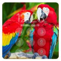 Parrot Lock Screen HD on 9Apps