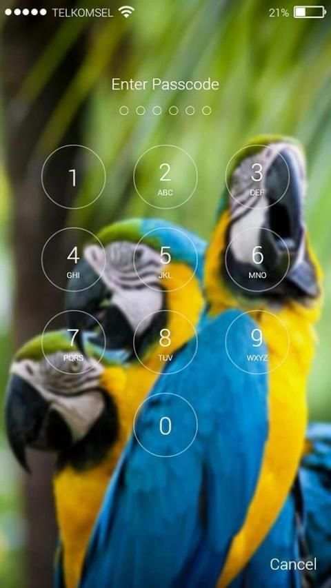 Parrot Lock Screen HD скриншот 3