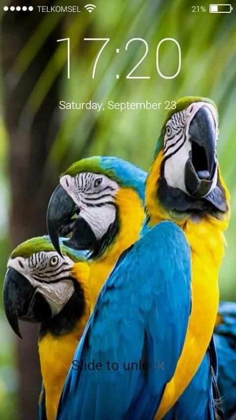 Parrot Lock Screen HD screenshot 2