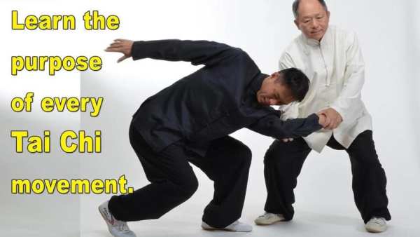 Tai Chi Martial Applications 4 تصوير الشاشة