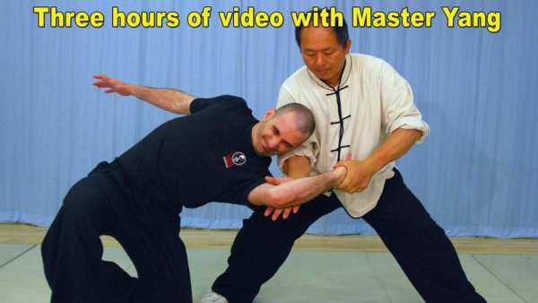 Tai Chi Martial Applications 1 تصوير الشاشة