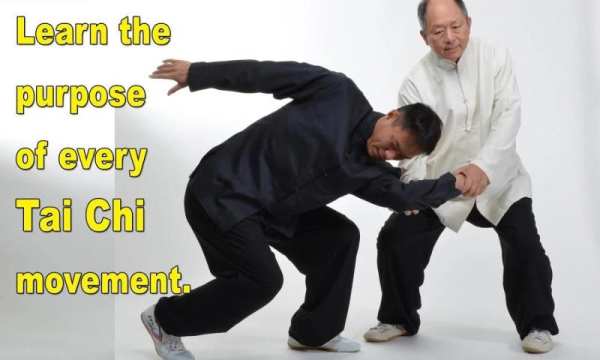 Tai Chi Martial Applications 9 تصوير الشاشة