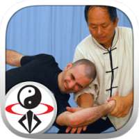 Tai Chi Martial Applications on 9Apps