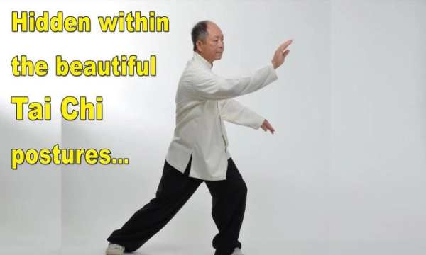 Tai Chi Martial Applications 7 تصوير الشاشة