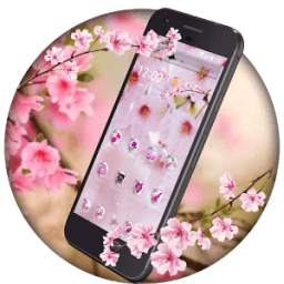 Japan Petals Cherry Theme