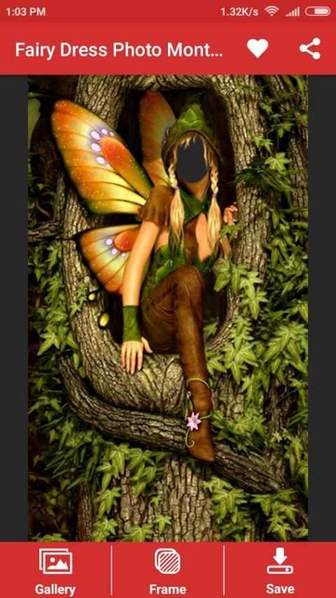 Fairy Dress Photo Montage screenshot 3