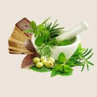 Ayurvedic- Remedies- Treatment- Herbs