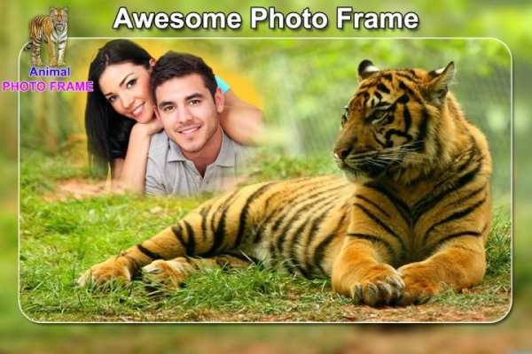 Wild Animal Photo Frames - Animal Photo Editor screenshot 3