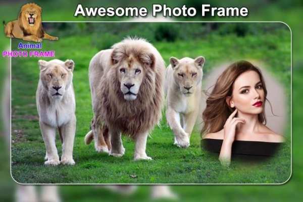 Wild Animal Photo Frames - Animal Photo Editor screenshot 5
