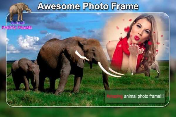 Wild Animal Photo Frames - Animal Photo Editor screenshot 1