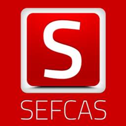 SEFCAS: Classifieds Ads USA