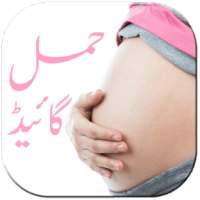 Hamal Guide Pregnancy Book