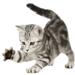 Лучшие аудиосказки Маршака أيقونة