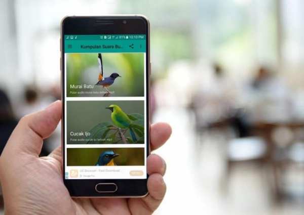 Kumpulan Suara Burung Offline скриншот 4