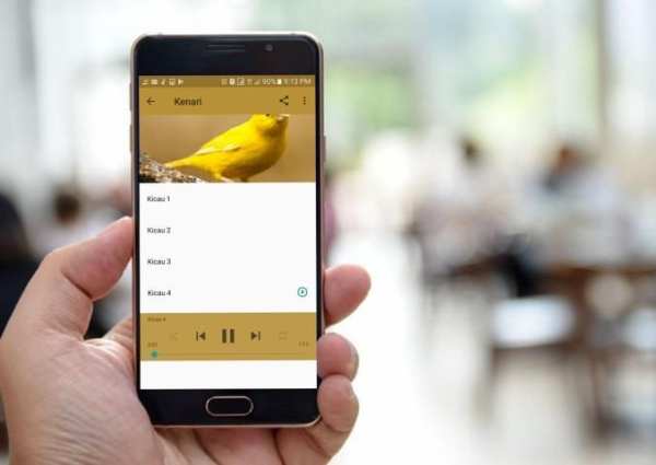 Kumpulan Suara Burung Offline скриншот 1