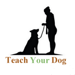 ikon Advanced Dog Training