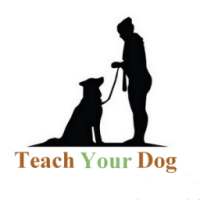 Advanced Dog Training