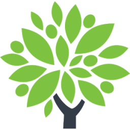 Life Story आइकन