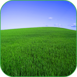ikon Green Fields 3D Wallpaper