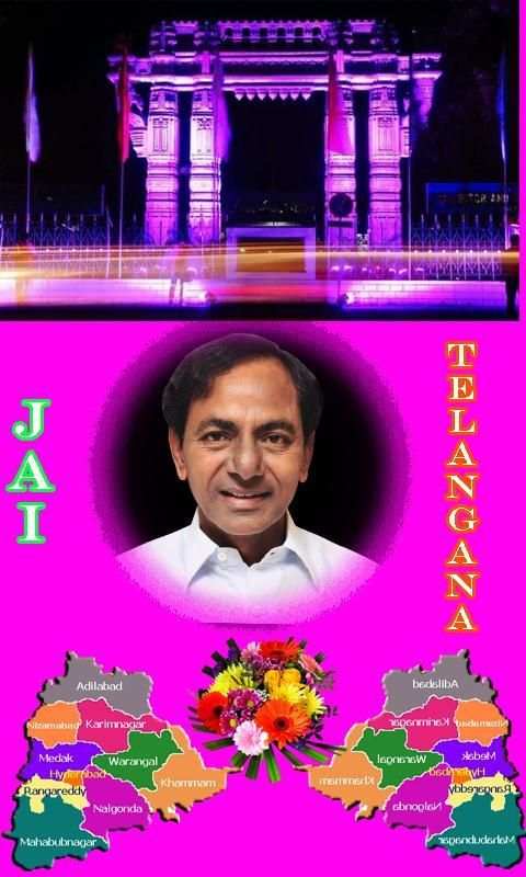 Telangana Celebrations скриншот 3