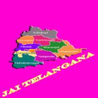 Telangana Celebrations