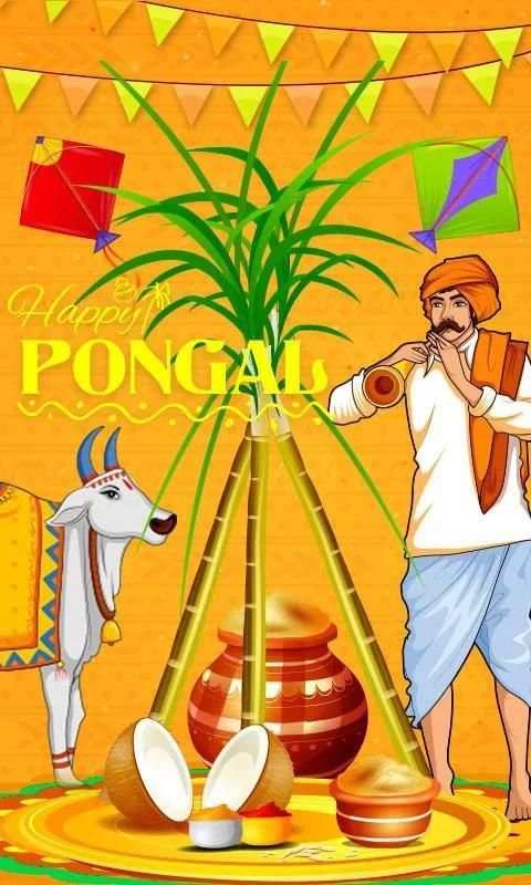 Pongal Live Wallpaper 3 تصوير الشاشة