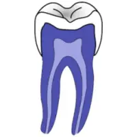 Dentist Quiz Apk Download 2021 Free 9apps - teethyz dentist roblox application answers