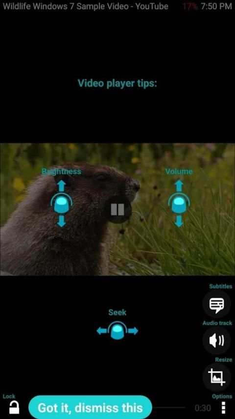 Any Video Player скриншот 5