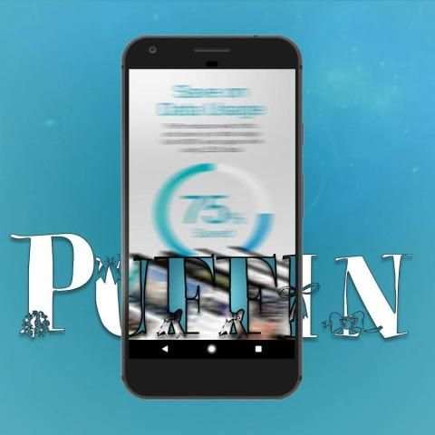 New Puffin Web Browser 2018 Guide скриншот 3