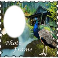 Peacock Bird Photo Editor Latest on 9Apps