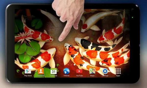 Koi Live Wallpaper screenshot 2